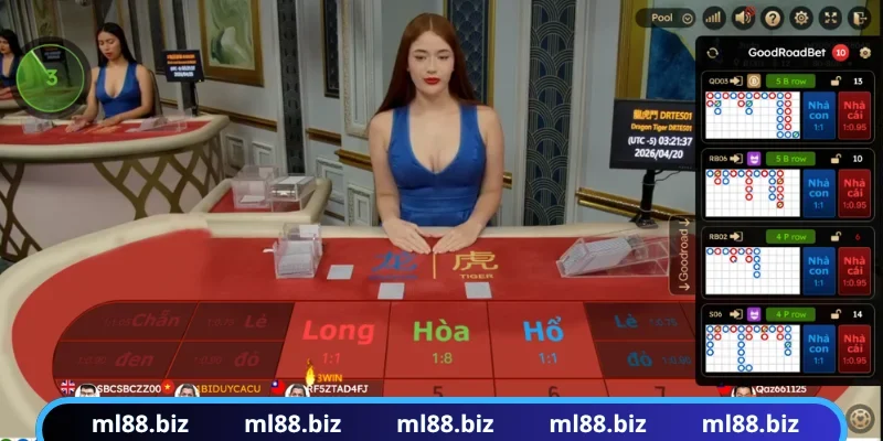 Rồng hổ